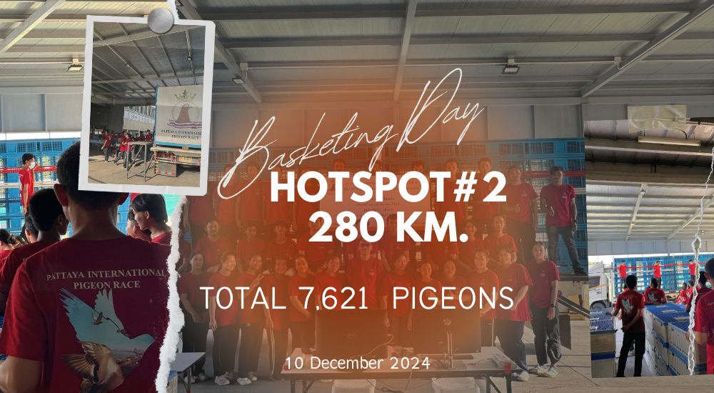 THE 9th Hotspot 2: 280km